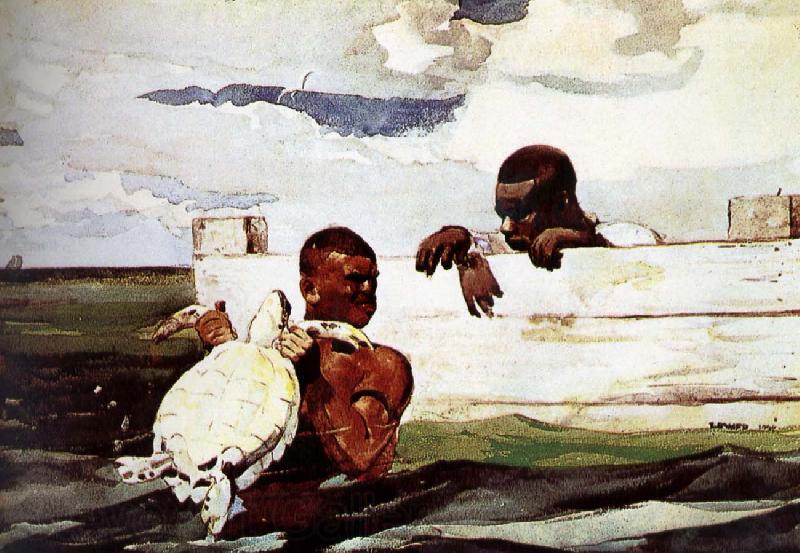 Winslow Homer Turtles captured in Spain oil painting art